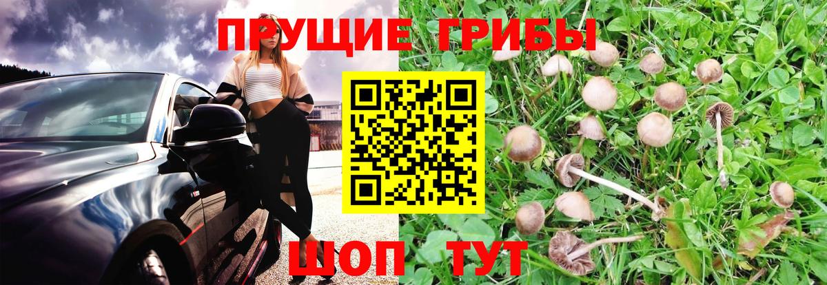 Галлюциногенные грибы ЛСД  Вход с VPN  Тосно 